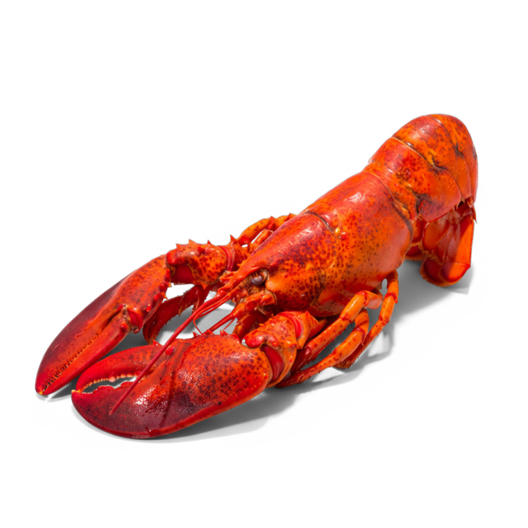 Astice Crudo Americano - peso variabile