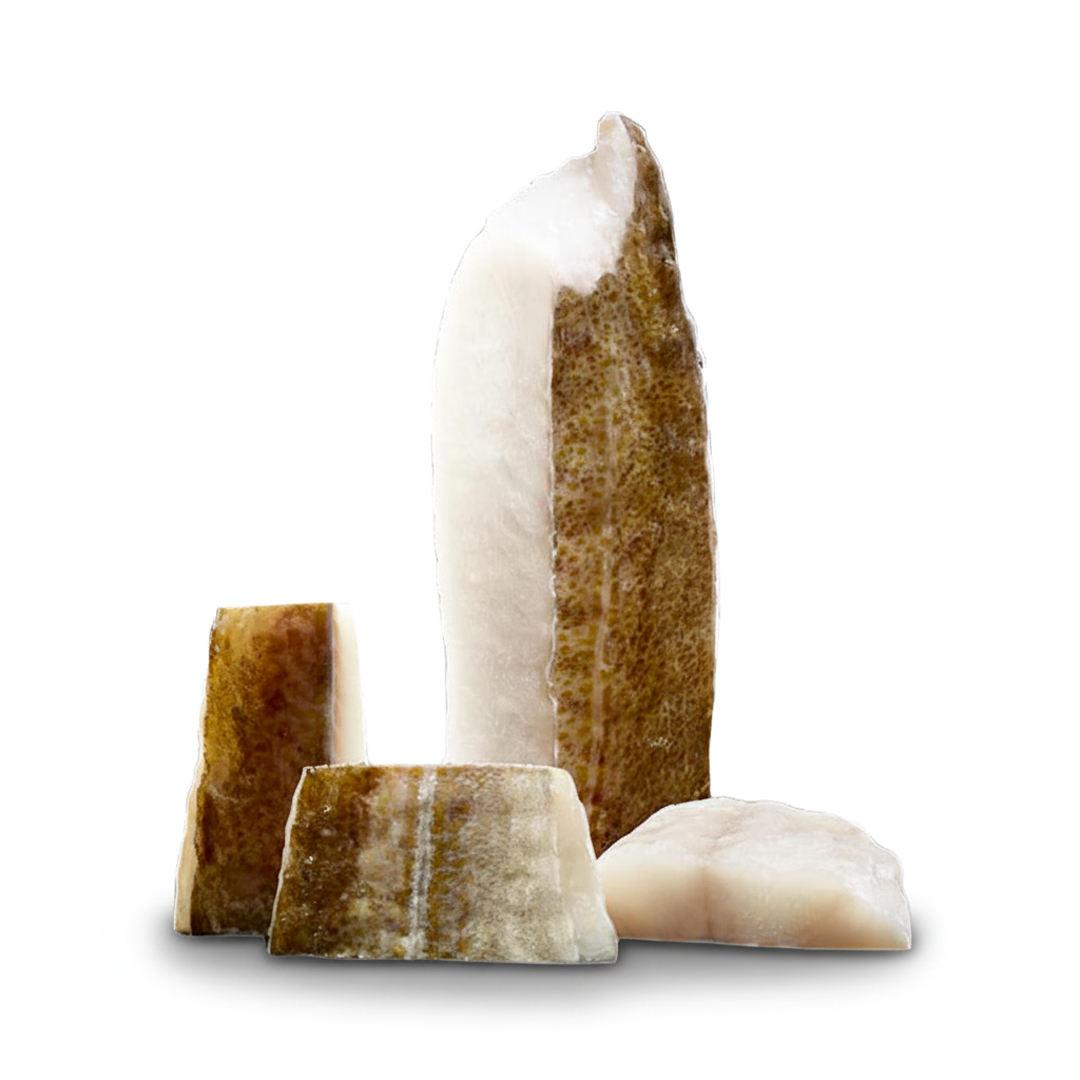 Baccalà Lomos Premium