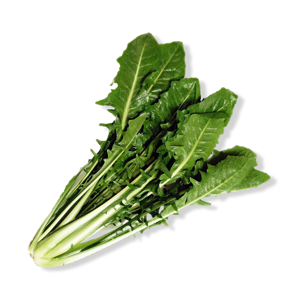 Cicoria - 1 Kg