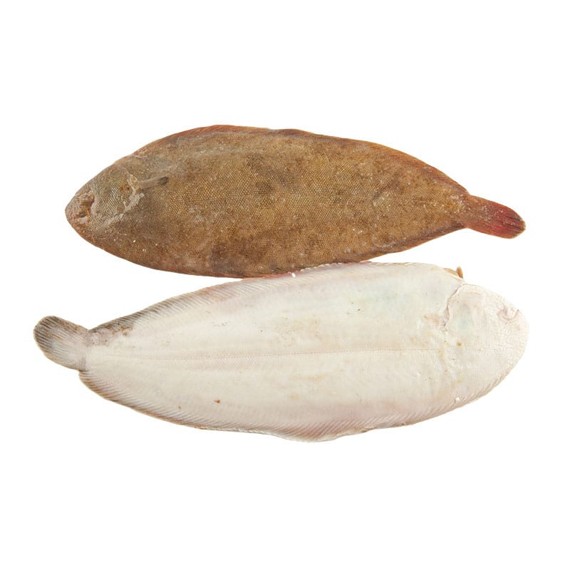 Sogliola - 500/600g