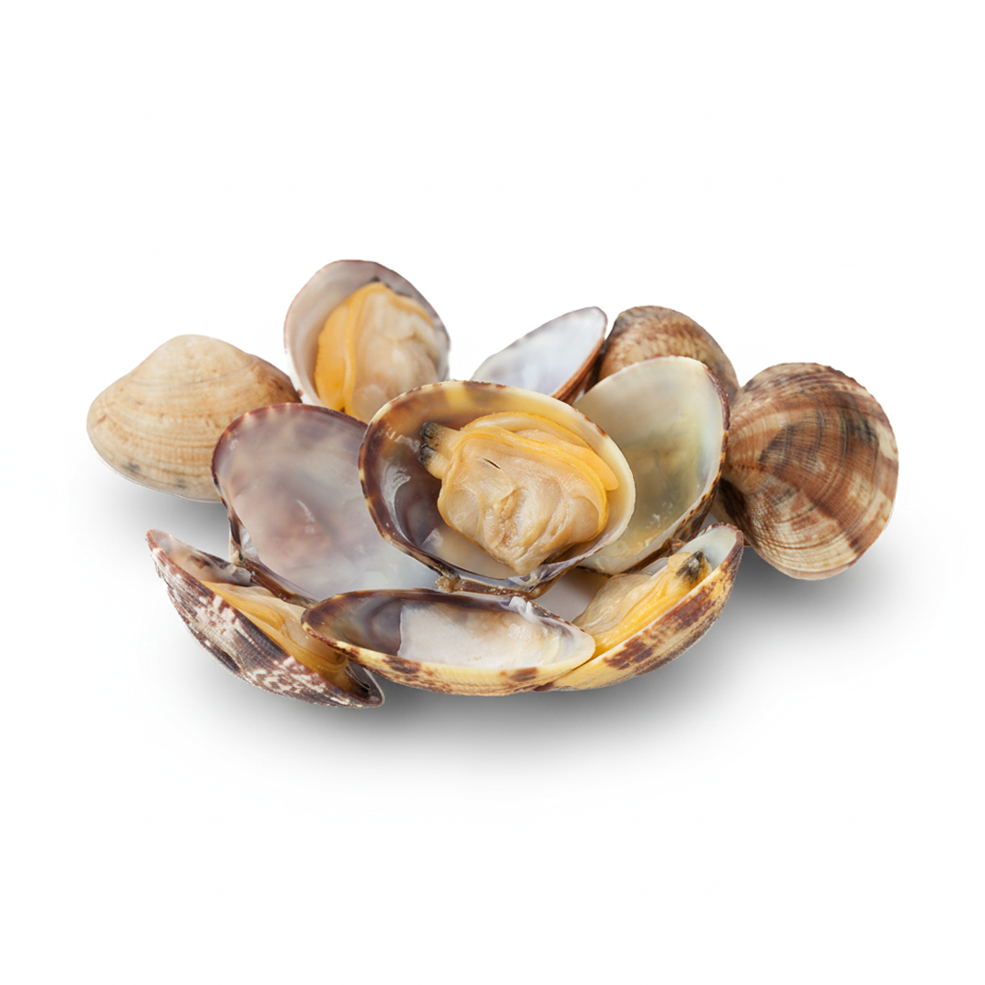 Vongole con Guscio