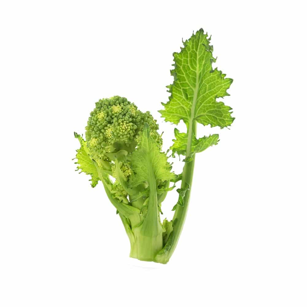Cimette di Rapa