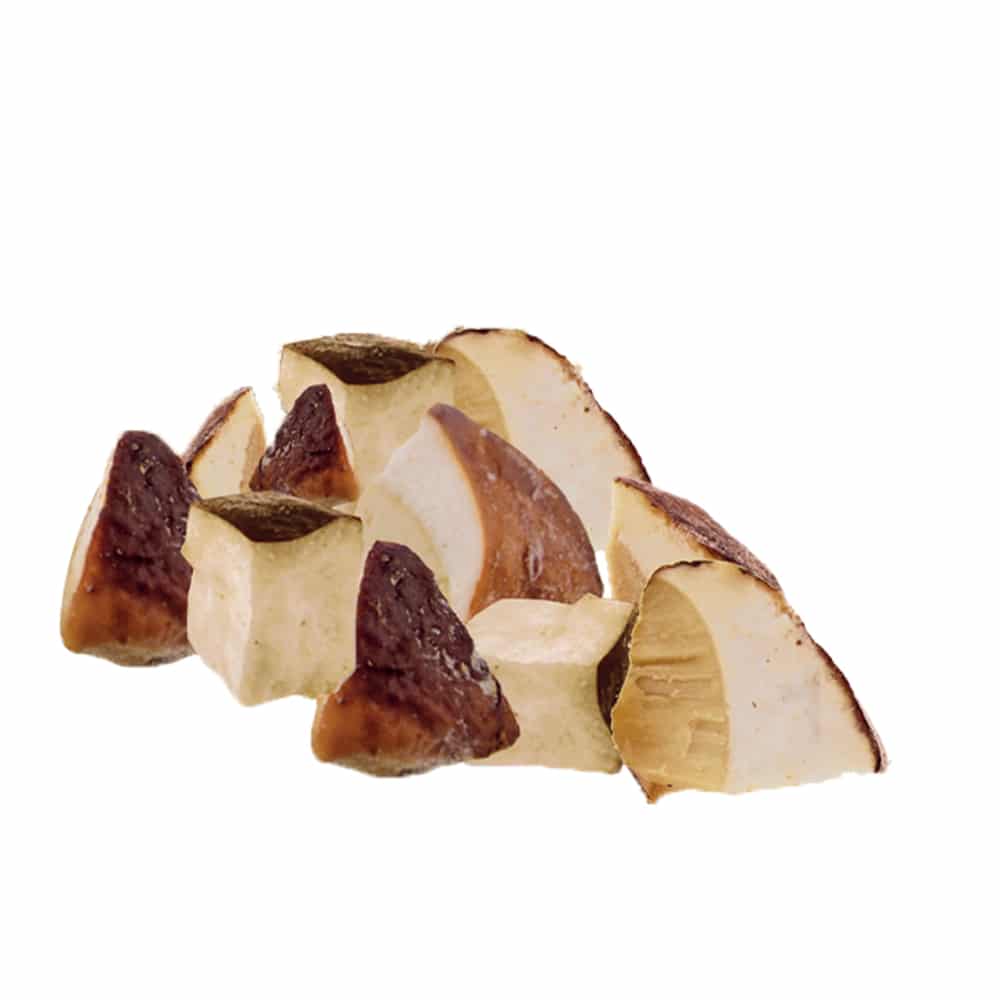 Funghi Porcini a Cubetti - 500g