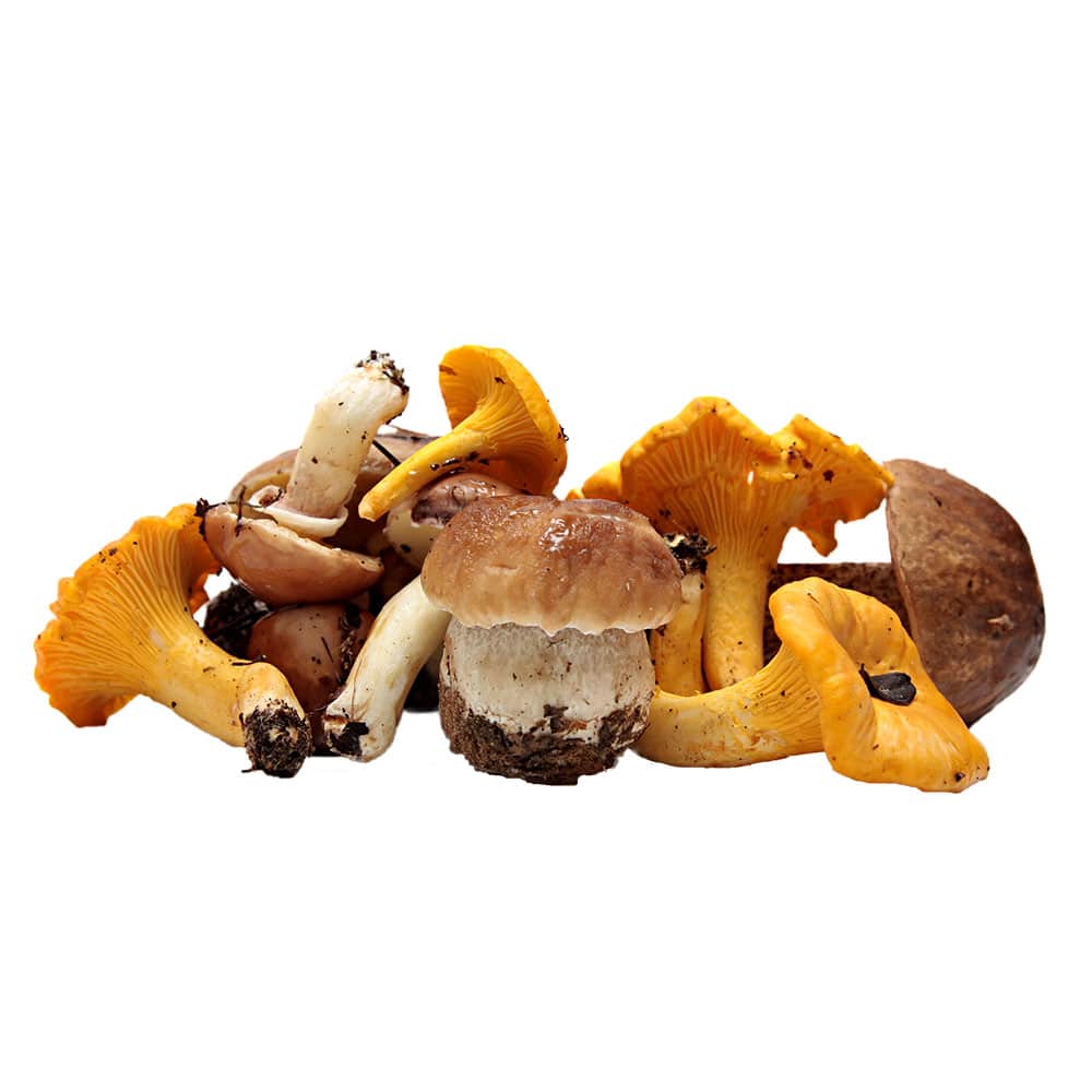 Misto Funghi con Porcini - 500g