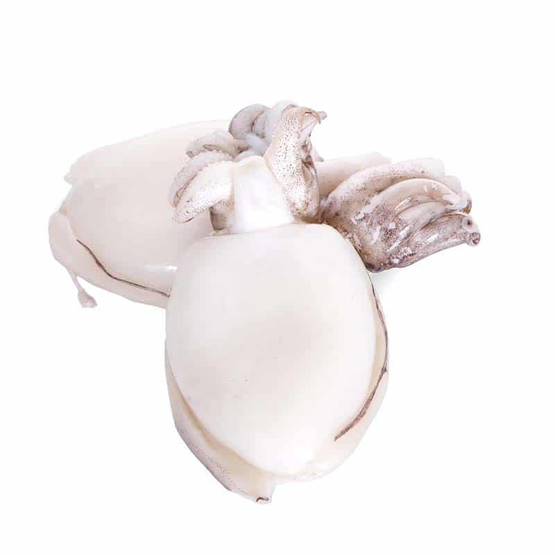 Seppie 8/12 - 800 g